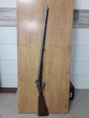 GA16.1.jpg