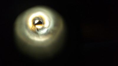 20230907_115037-min.jpg
