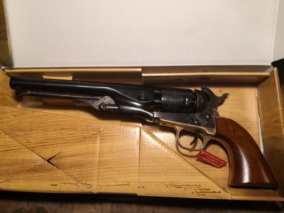 colt1.jpg